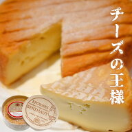 ベルトー社 エポワス AOP ウォッシュタイプ チーズ フランス産 250g ワイン おつまみ