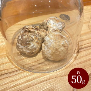 gt gXJ[iY 50gy1g1600~iōjŌvZz tbVgt C^A ① O H C^A 񂹃O  O I[hu 