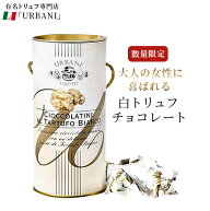 白トリュフ チョコレート チョコラティーニ 5g×15個入り イタリア産 ウルバーニ 当日発送 高級 トリュフ…