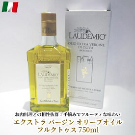 サンミケーレ エキストラバージン オリーブオイル ラウデミオ イタリア トスカーナ産 500ml あす楽 送料無料 低酸度 有機栽培 肉料理