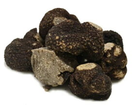 【お買い物マラソン ポイント5倍】冬トリュフ 黒トリュフ エクストラ フレッシュ ノルチャ産 30g? 【1g当たり440円（税込）で再計算】お取り寄せグルメ グルメ オードブル 記念日 誕生日 ギフト プレゼント 誕生日 お祝い 内祝い 出産祝い 贈り物