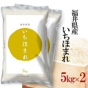 新米 お米 5kg×2 令和7年産 伊丹米 福井県産いちほまれ 白米 内祝い 熨斗 のし 承ります