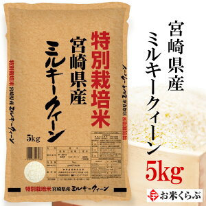 V  5kg ʍ͔| ߘa7NY ɒO {茧Y~L[NC[ 5kg  j l ̂ ܂