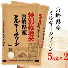 精米 令和5年産 特別栽培米 伊丹米 宮崎県産ミルキークイーン 10kg(5kg×2) 白米 父の日 内祝い 熨斗承ります