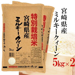  ߘa7NY ʍ͔| ɒO {茧Y~L[NC[ 10kg(5kg×2)   j l܂