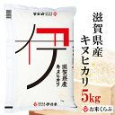 精米 5kg 令和6年産 伊丹米 滋賀県産キヌヒカリ 白米 内祝い 熨斗 のし 承ります
