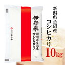 新米 10kg 令和7年産伊丹米 新潟県魚沼産コシヒカリ 白米 内祝い 熨斗 のし 承ります