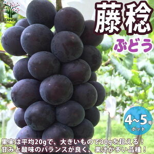 苗 ぶどう苗の人気商品 通販 価格比較 価格 Com
