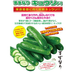 苗 キュウリの通販 価格比較 価格 Com