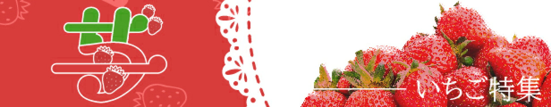 イチゴ苗特集