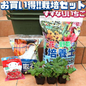 プランター いちご 栽培の人気商品 通販 価格比較 価格 Com