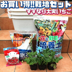 プランター いちご 栽培の人気商品 通販 価格比較 価格 Com