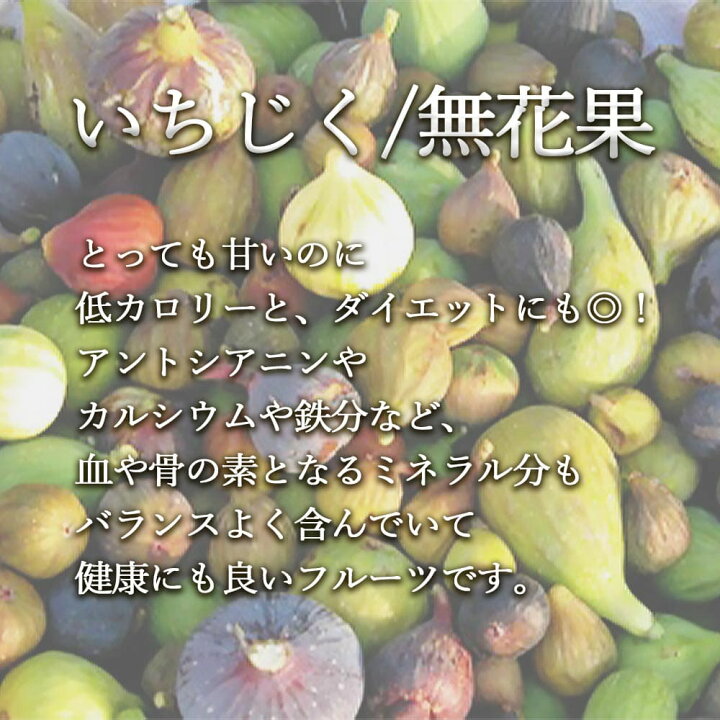 NO.33 福島県産 加工用 いちじく 無花果 ホワイトゼノア 約1.8kg