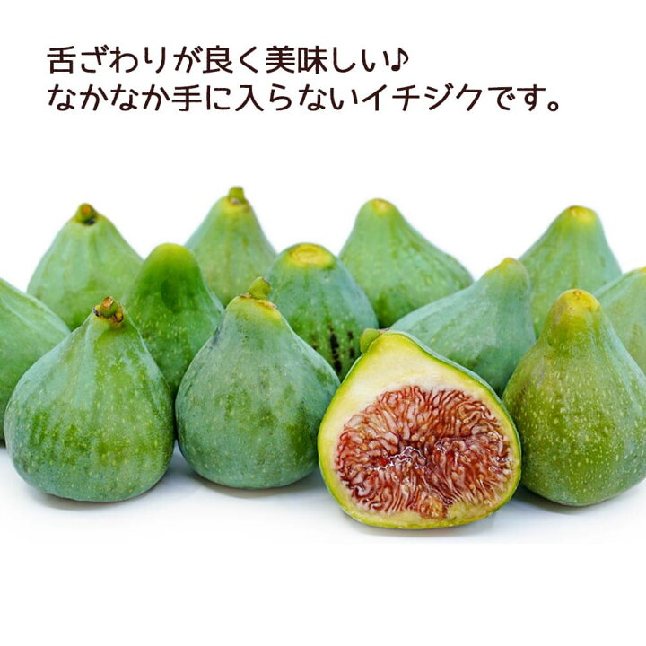 立地良好 いちじく農園 譲ります