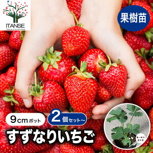 yzȂ肢 2Zbg` ؕc 9cm|bg c C`Sc 䕕c Xgx[  K[fO ƒ؉ _ _ In x_ n ʎc v[g Mtg