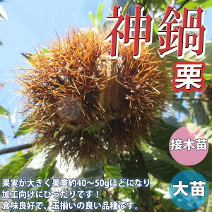 ySSԑSi10OFFzI̕c _ ʎc 1N ږؕc12`15cm|bg 1 Ic I̕c I̖ I̕c ̕c N̕c ̕c A Ԗ A  A _ V{c[ 