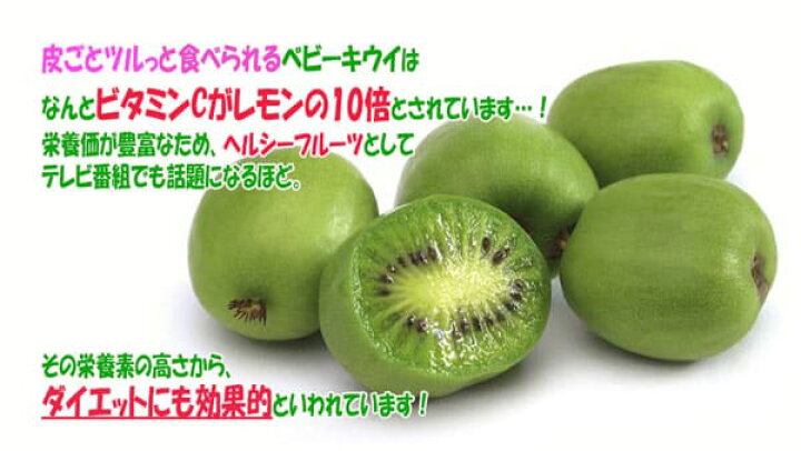 楽天市場 送料無料 ベビーキウイ エルダー 果樹苗 9cmポット 2個セット サルナシ 苗木 コクワ 甘い フルーツ 耐寒 落葉 ツル性 植物 自家結実 ダイエット スイーツ ベランダ 露地 農園 人気 品種 キウイベリー 植物販売のｉｔａｎｓｅ楽天市場店