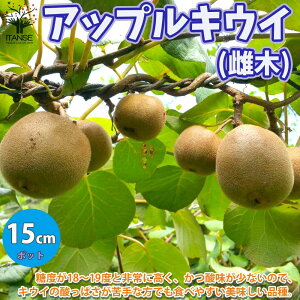 キウイ 鉢 農業資材 ガーデニング用品の人気商品 通販 価格比較 価格 Com