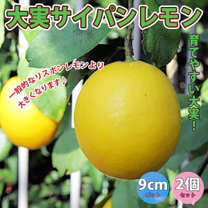 yzTCp ʎc 9cm|bg}ؕc 2Zbg c EG  x_ c k _ ~J _ _ In V{c[ ϊ  ƌ O[
