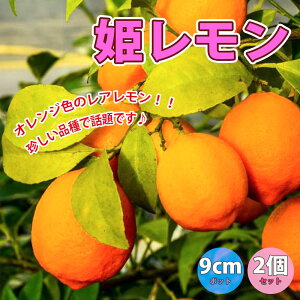 yzP ʎc 9cm|bg}ؕc 2Zbg c EG  x_ c k _ ~J _ _ In V{c[ ƌ ӏ ԃ Ov[