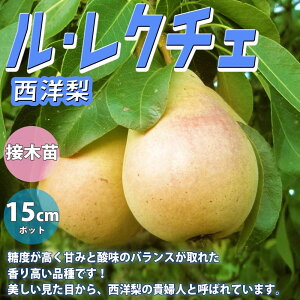 yzm̕c  N`F ʎc 1`2N ږؕc15cm|bg 1 mc m̕c m̖ m̕c mc iV̕c Ȃ̕c iV̕c ZCEiV m A v