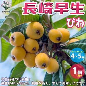 ySSԑSi10OFFzf ( т ) ̕c 葁 ʎ̕c 4`5 1 rc r̕c r̕c rc fc fc т̕c ʎc ʎ ͔| ƒ؉ Mtg v[g 