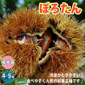 yzIc ۂ낽 ʎc 1`2N ږؕc4`5|bg1 I̕c Nc c c c ڂؕc a炪ނ₷ {I V{c[  A aI 뉀ʎ lCi 