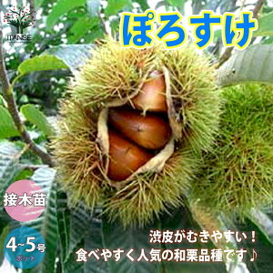 yzIc ۂ낷 ʎc 1`2N ږؕc4`5|bg1 I̕c Nc c c c ڂؕc a炪ނ₷ {I V{c[  A aI 뉀ʎ lCi 