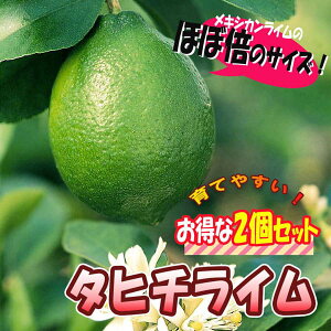 yz^q`C ʎc 9cm|bg}ؕc 2Zbg Cc x_ c k EG   ~J _ _ In V{c[ ϊ ƌ  