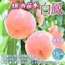 0以上 桃の画像 無料の人気アイコン