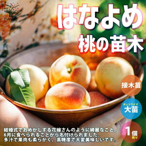 �y���������z�͂Ȃ�� ���̕c�� �ʎ��̕c�� 15cm�|�b�g 1�`2�N�� �ږؕc 1���� �����c �����̕c �����c �����̕c�� ���̕c ���c ���̕c �K�[�f�j���O �ƒ�؉� �������� ���[