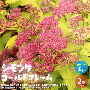 yzVcPS[ht[ ԕc 3|bg 2Zbg XsA XsGA W|jJ VcP zCgS[h A 񂹐A  [