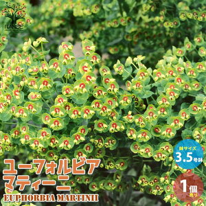 yz[tHrA }eB[j ( }[`j[ ) ԕc 3.5|bgc 1 [tHrA ԕc  h N t[ AWg CeAO[ {^jJ 