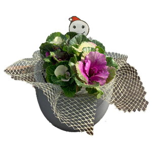 y}\N[|zzzgtO c݊A DZbg Zbge:5x1AtOc ( xr[X}CȂ ) ge1x ԕc 5x 1 񂹐A Zb