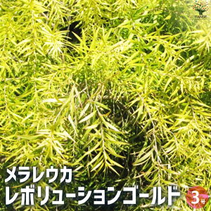 y}\N[|zzzEJ{[VS[h ԕc 3|bg eB[c[ v  Β ΍  N Lve NbN  [