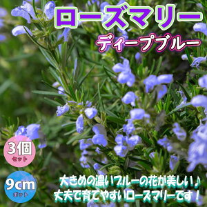 花 入浴剤 苗の人気商品 通販 価格比較 価格 Com