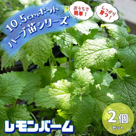 楽天市場 メリッサ 花 ガーデン Diy の通販