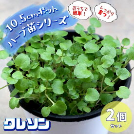 楽天市場 ハーブ 苗 クレソンの通販