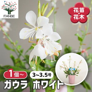 yzKE zCg y ԕc 3`3.5 z ԕc Ԃ̕c KE  nN`E\E N ӏ K[f A A nA