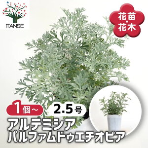 y}\N[|zzzAe~VA pt@hDG`IsA y ԕc 2.5 z ԕc Ԃ̕c  J[[t Vo[[t