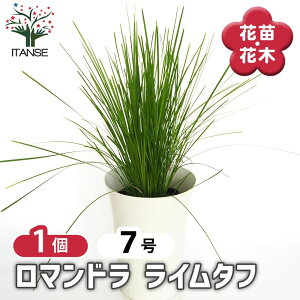 yz }h C^t y Ԗؕc 7^1 z V{c[ LO Ԗ c c Ԃ̕c A nA A x_ K[fjO Ԓd 뉀 v[g j