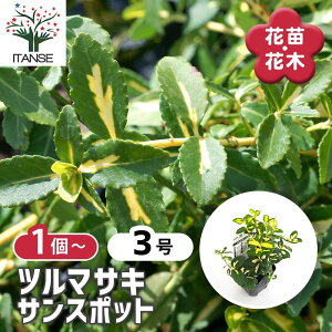 y}\N[|zzz c}TL TX|bg y Ԗؕc 3 z V{c[ LO Ԗ c c Ԃ̕c A nA A x_ K[fjO Ԓd 뉀 v[g