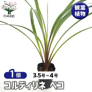 yz RfBl yR y ϗtA 3.5`4^1 z |i c Ԗ A  K[fjO V{c[ ӏ