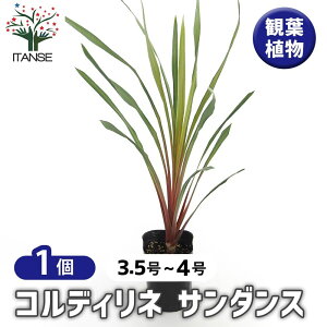 yz RfBl T_X y ϗtA 3.5`4^1 z |i c Ԗ A  K[fjO V{c[ ӏ