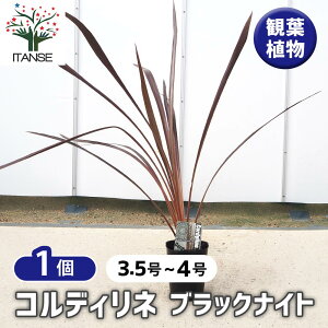 yz RfBl ubNiCg y ϗtA 3.5`4^1 z |i c Ԗ A  K[fjO V{c[ ӏ