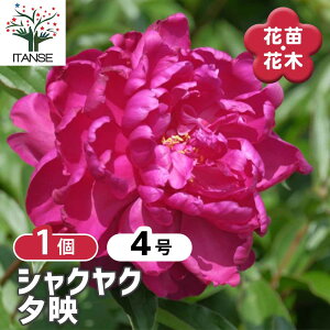 y}\N[|zzz VNN [f y Ԗؕc 4^1 z 䉖 V{c[ LO c c A K[fjO Ԓd 뉀