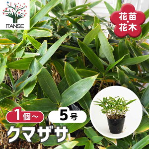 y}\N[|zzz N}UT y Ԗؕc 5 z G  ₩ i ܂ ߋ ̗t V{c[ LO Ԗ c c Ԃ̕c A nA A  o 