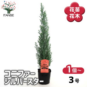 yz Rjt@[ Vo[X^[ y  3 z  jt NX}Xc[ɂANX}X[XƂĂgp܂