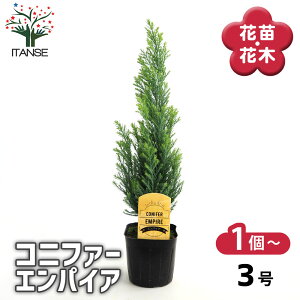 yz Rjt@[ GpCA y  3 z  jt NX}Xc[ɂANX}X[XƂĂgp܂