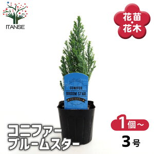 yz Rjt@[ u[X^[ y  3 z  jt NX}Xc[ɂANX}X[XƂĂgp܂